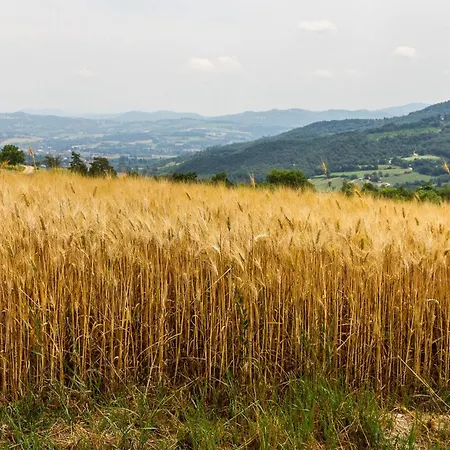 Amazing In With Wifi Nocera Umbra