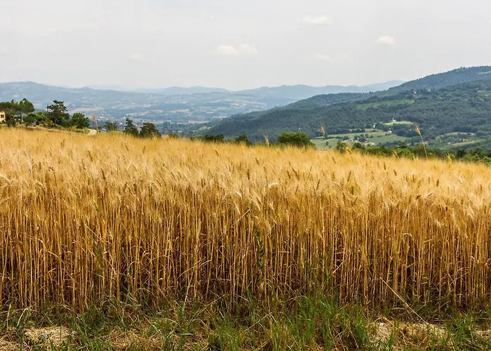 Amazing In With Wifi Ночера-Умбра