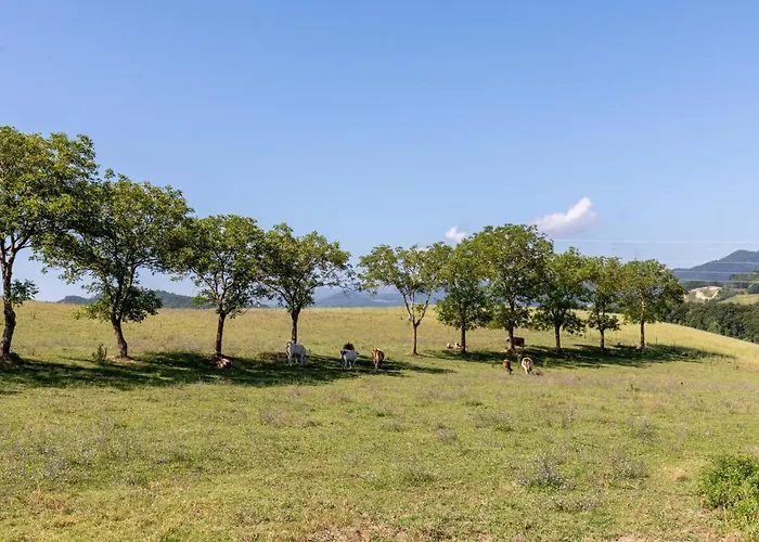 Amazing In With Wifi *