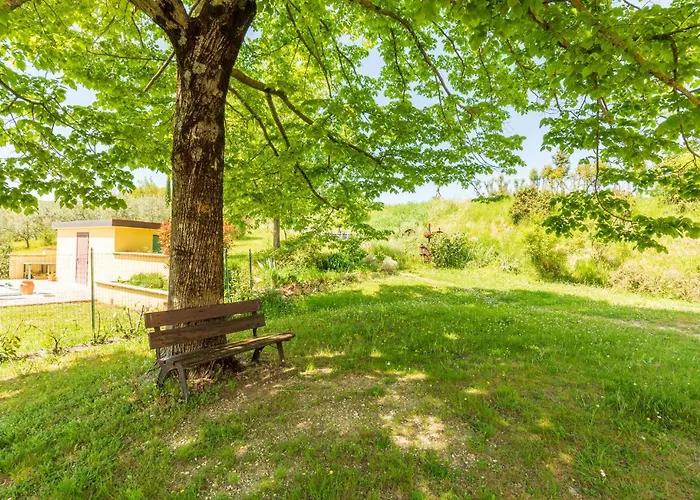 Amazing In With Wifi